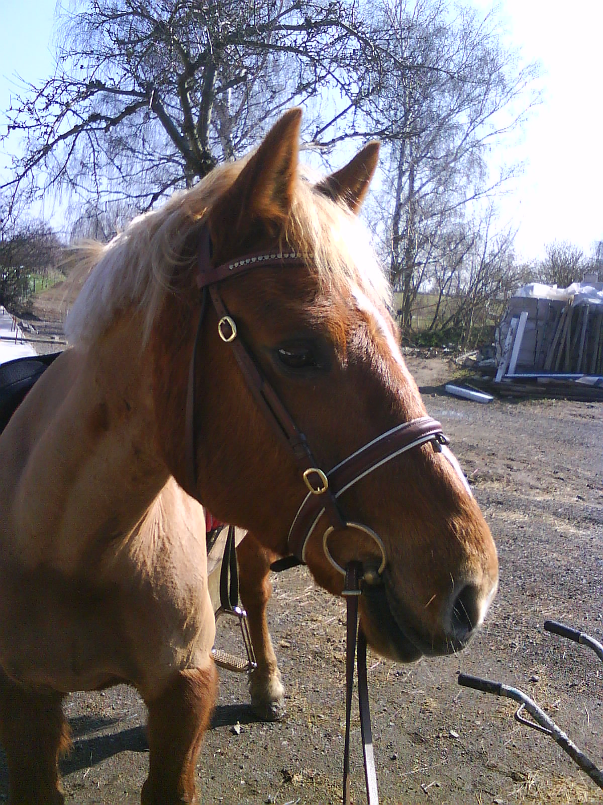 Peppe4